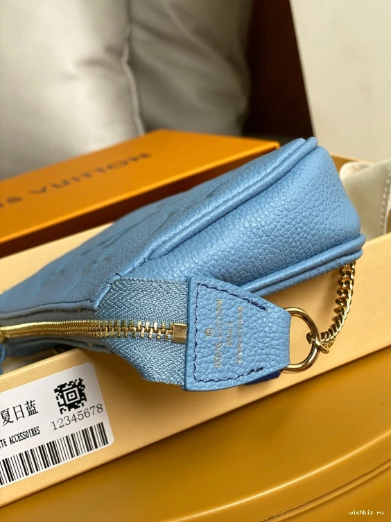 WIS POCHETTE VUITTON ACCESSOIRES MINI LOUIS 1126